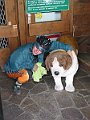 foto 037